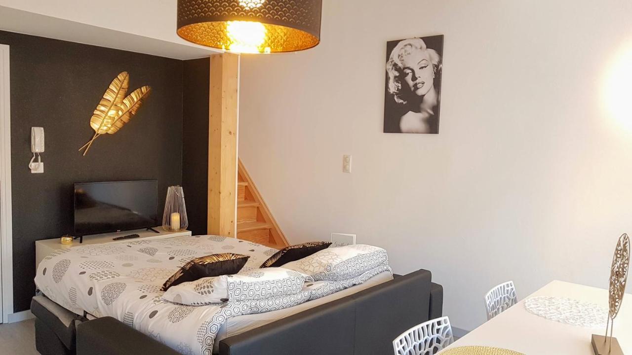 Les Nuits D'Anis - Appartements Hypercentre Le Puy-en-Velay 외부 사진