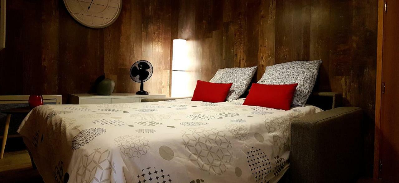 Les Nuits D'Anis - Appartements Hypercentre Le Puy-en-Velay 외부 사진